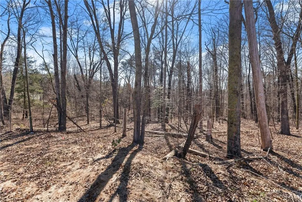 5419 Highway 320 Carnesville, GA 30521