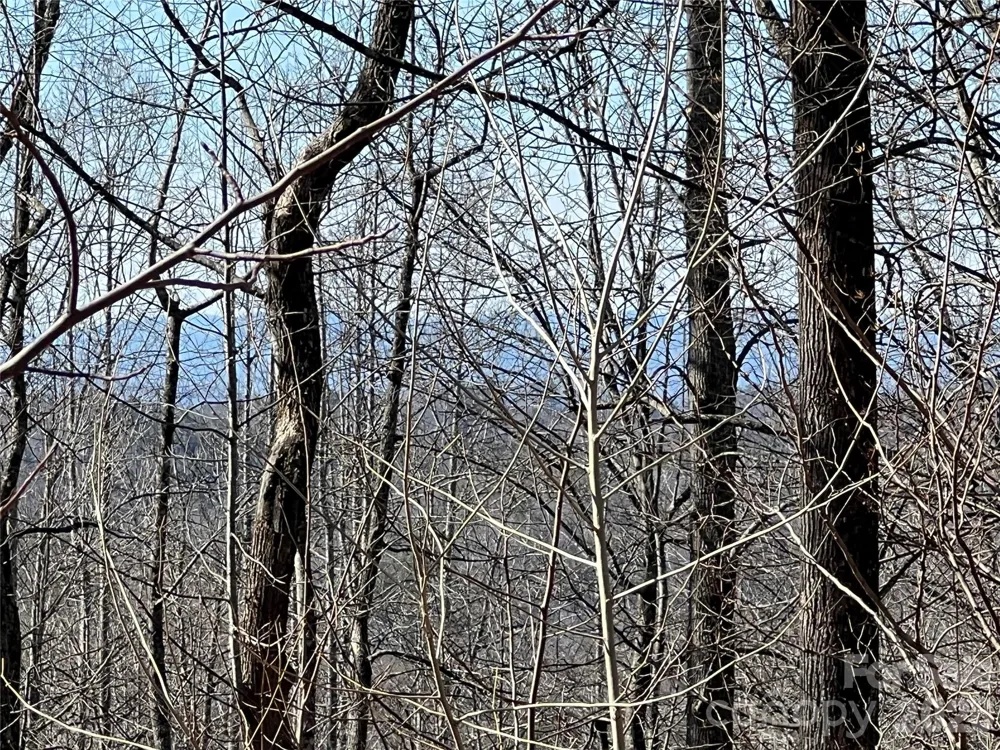 521 Timber Rock Drive #521 Lenoir, NC 28604