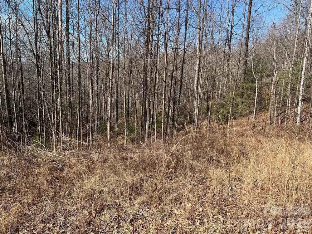 521 Timber Rock Drive #521 Lenoir, NC 28604