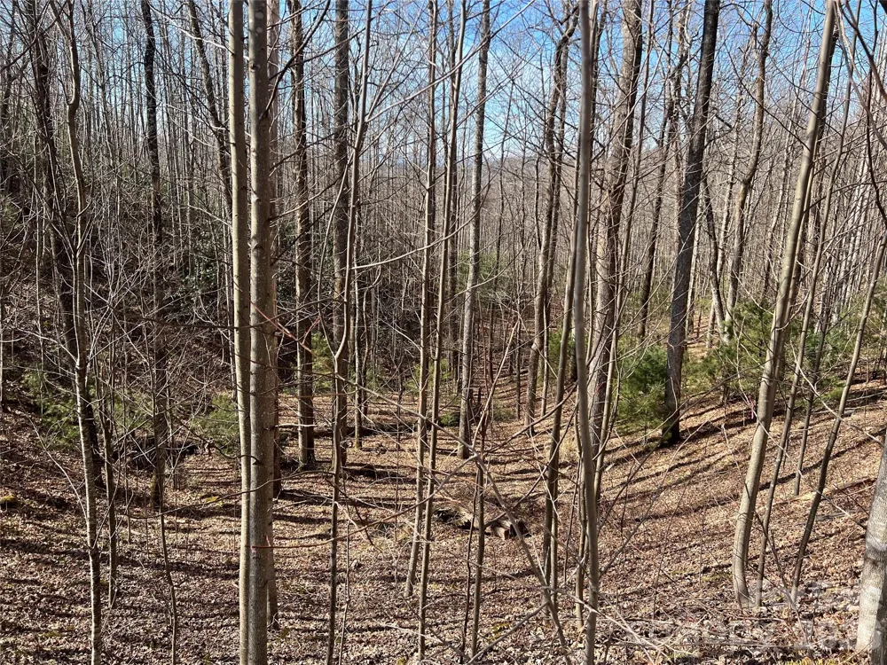 521 Timber Rock Drive #521 Lenoir, NC 28604