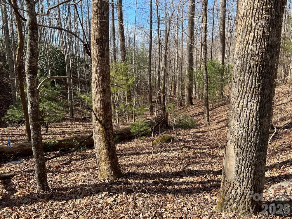 521 Timber Rock Drive #521 Lenoir, NC 28604
