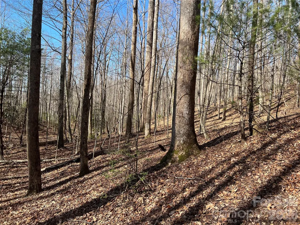 521 Timber Rock Drive #521 Lenoir, NC 28604