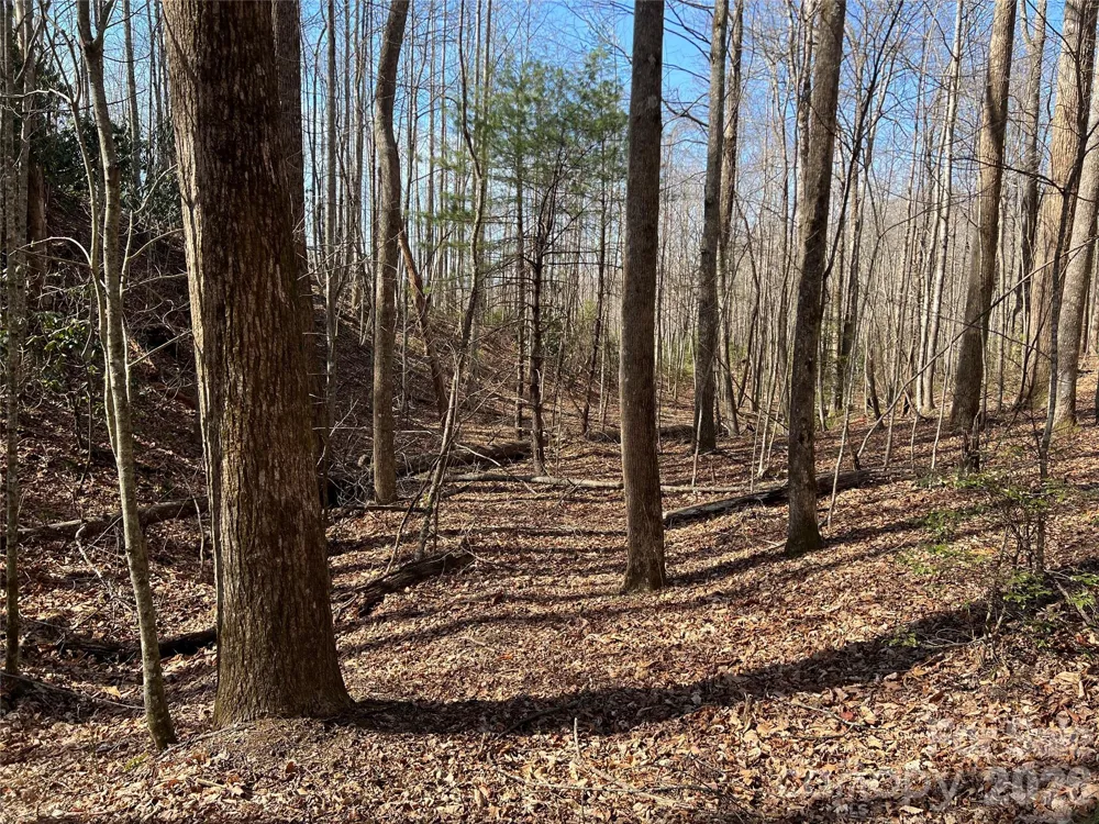 521 Timber Rock Drive #521 Lenoir, NC 28604