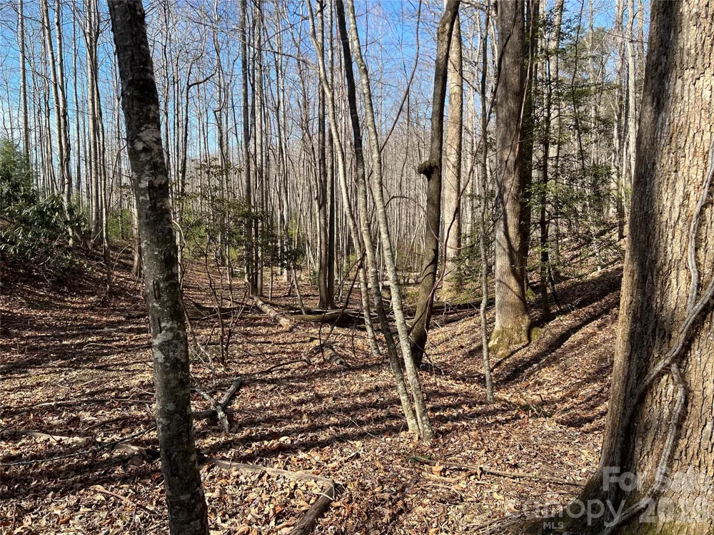 521 Timber Rock Drive #521 Lenoir, NC 28604