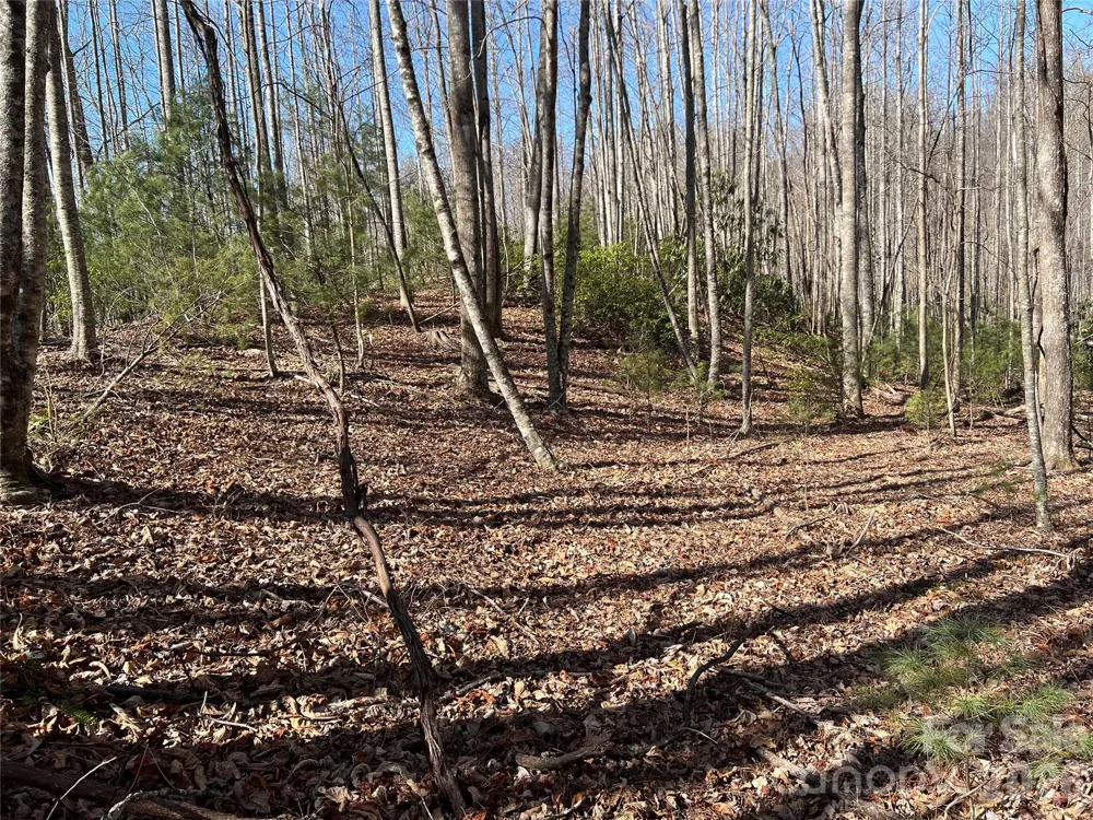 521 Timber Rock Drive #521 Lenoir, NC 28604