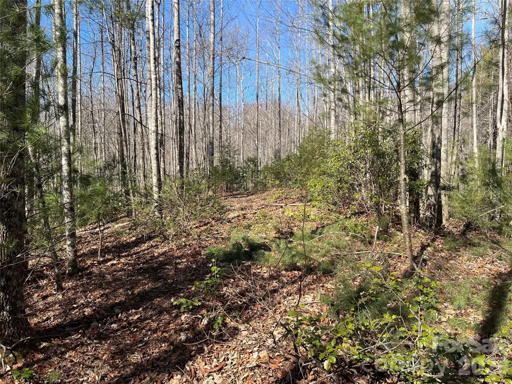 521 Timber Rock Drive #521 Lenoir, NC 28604