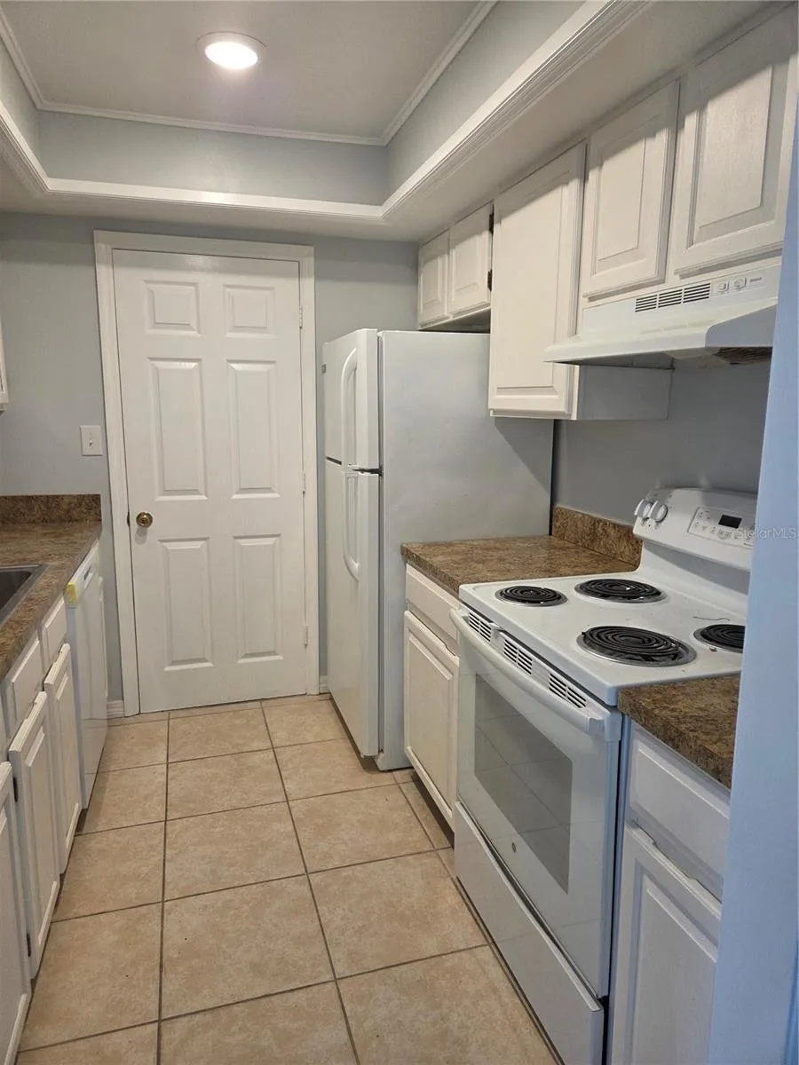 743 E ALFRED STREET Tavares, FL 32778
