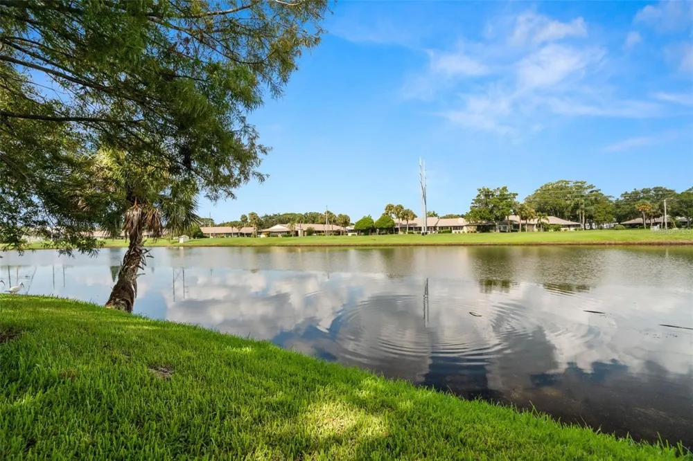 1423 WATER VIEW DRIVE W Largo, FL 33771