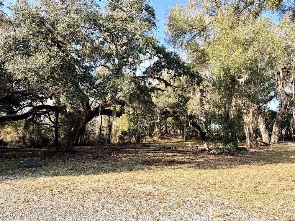 5666 S FLORIDA AVENUE Floral City, FL 34436