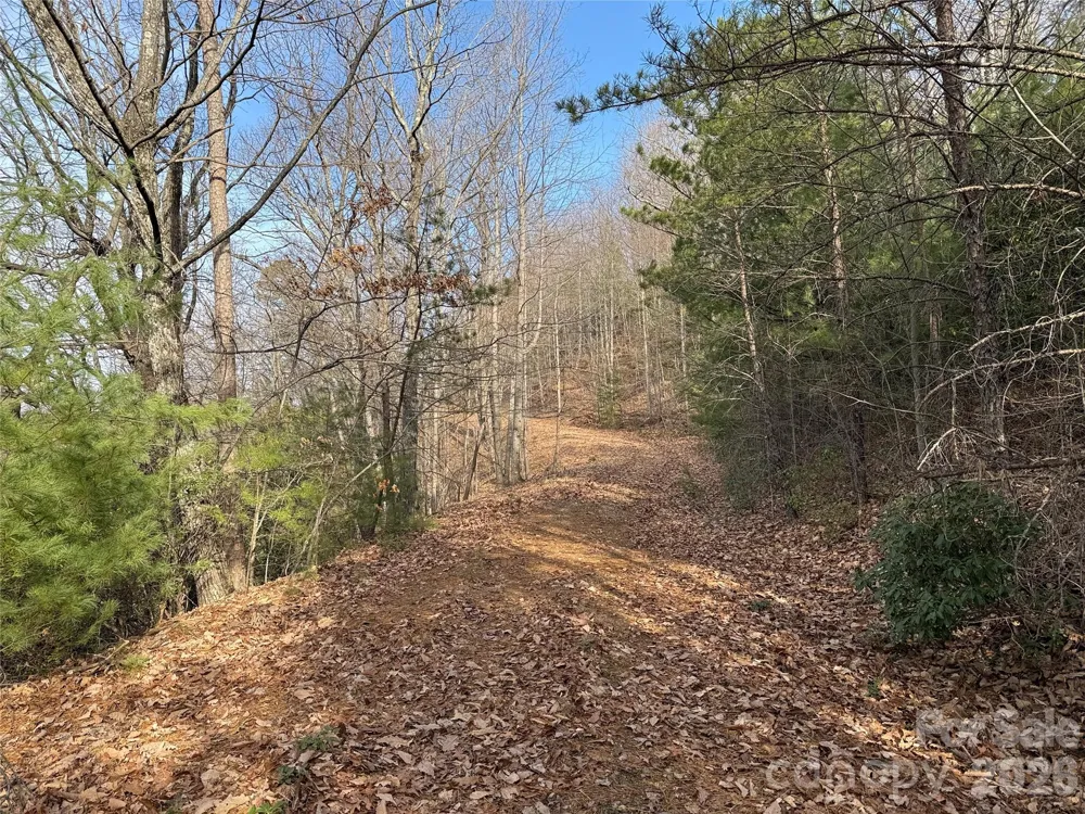 TBD Maple Valley Lane #207 & 220 Purlear, NC 28665
