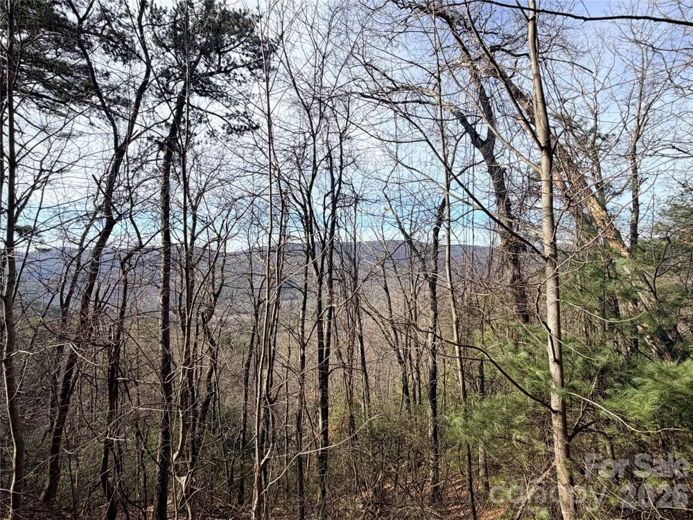 TBD Maple Valley Lane #207 & 220 Purlear, NC 28665