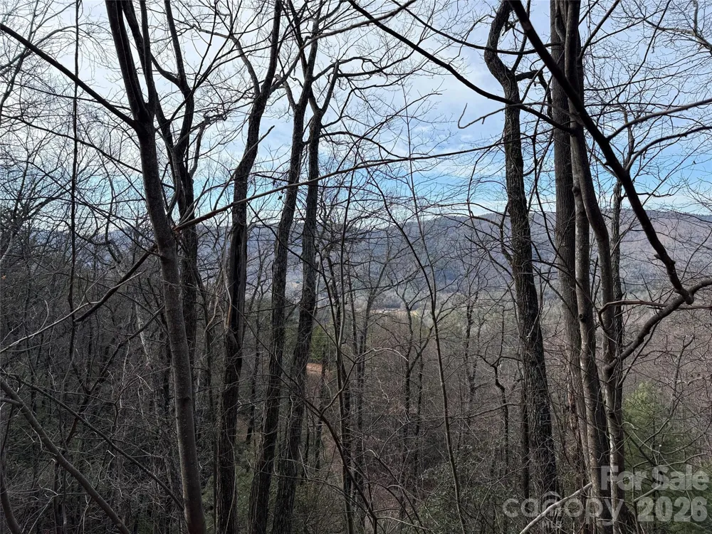 TBD Maple Valley Lane #207 & 220 Purlear, NC 28665