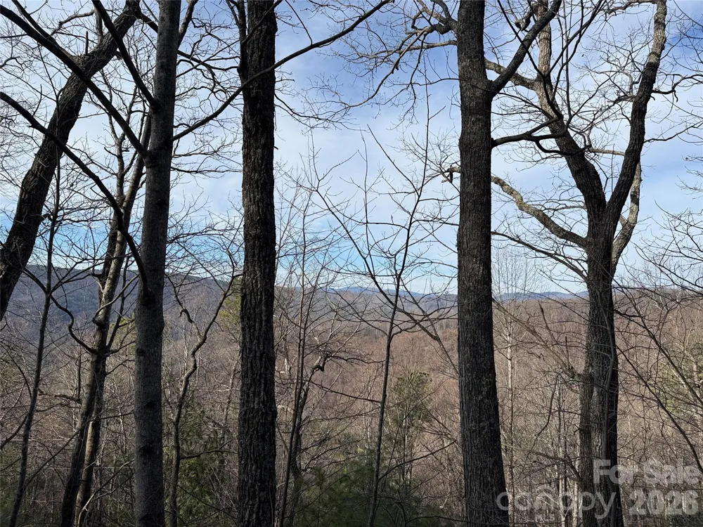 TBD Maple Valley Lane #207 & 220 Purlear, NC 28665