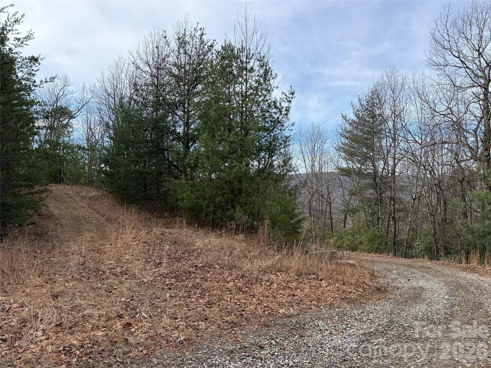 TBD Maple Valley Lane #207 & 220 Purlear, NC 28665