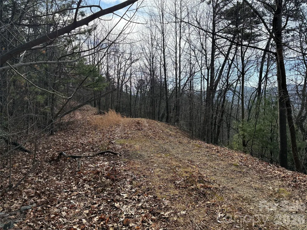 TBD Maple Valley Lane #207 & 220 Purlear, NC 28665