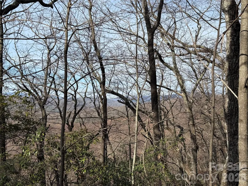 TBD Maple Valley Lane #207 & 220 Purlear, NC 28665