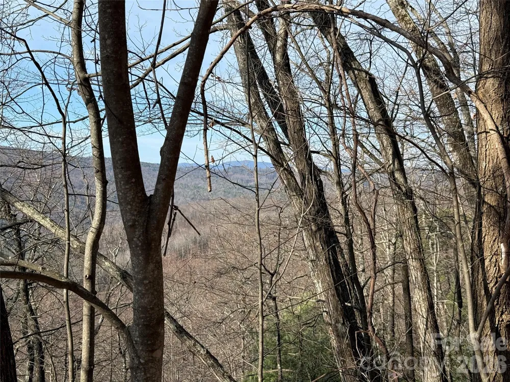 TBD Maple Valley Lane #207 & 220 Purlear, NC 28665