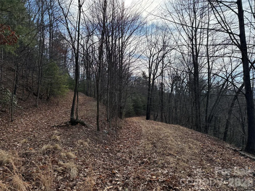 TBD Maple Valley Lane #207 & 220 Purlear, NC 28665