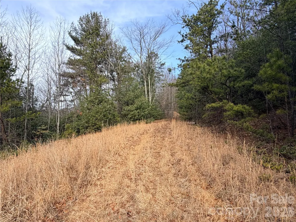 TBD Maple Valley Lane #207 & 220 Purlear, NC 28665