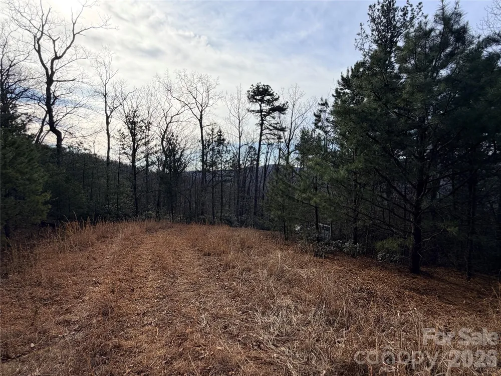 TBD Maple Valley Lane #207 & 220 Purlear, NC 28665