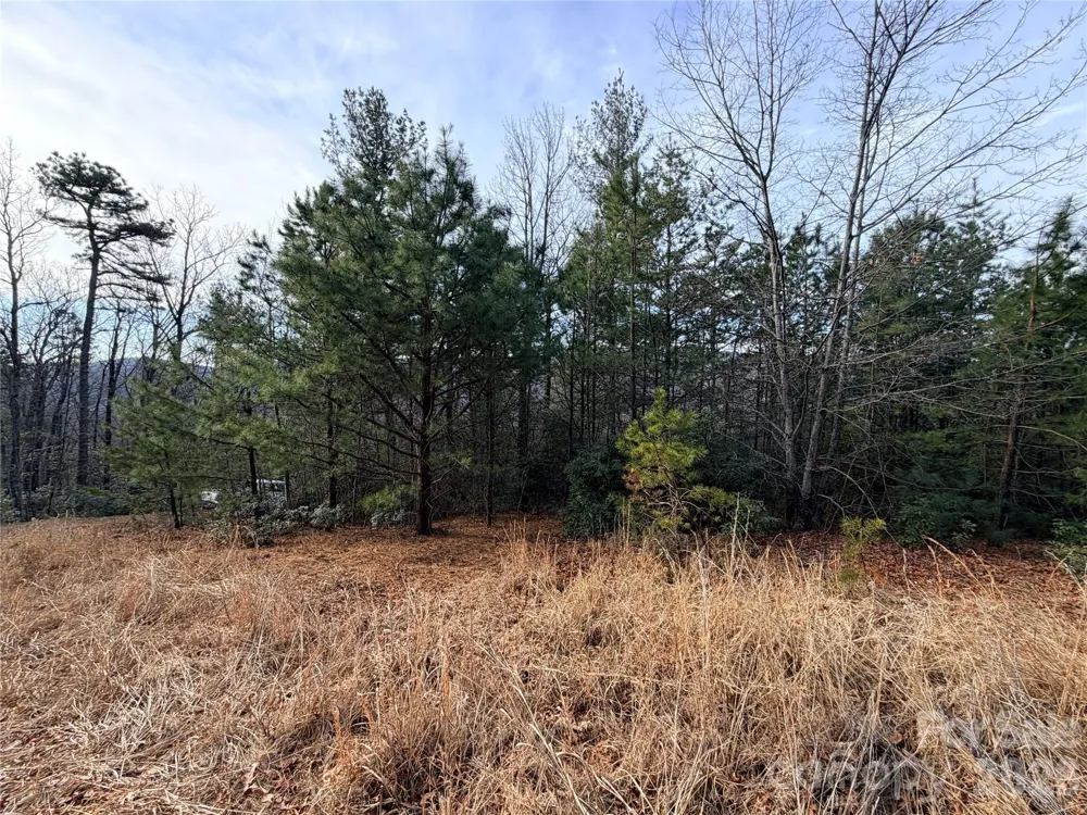 TBD Maple Valley Lane #207 & 220 Purlear, NC 28665
