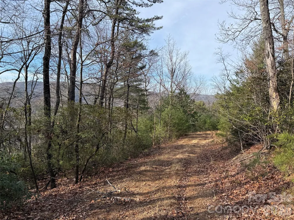 TBD Maple Valley Lane #207 & 220 Purlear, NC 28665