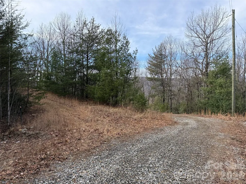 TBD Maple Valley Lane #207 & 220 Purlear, NC 28665