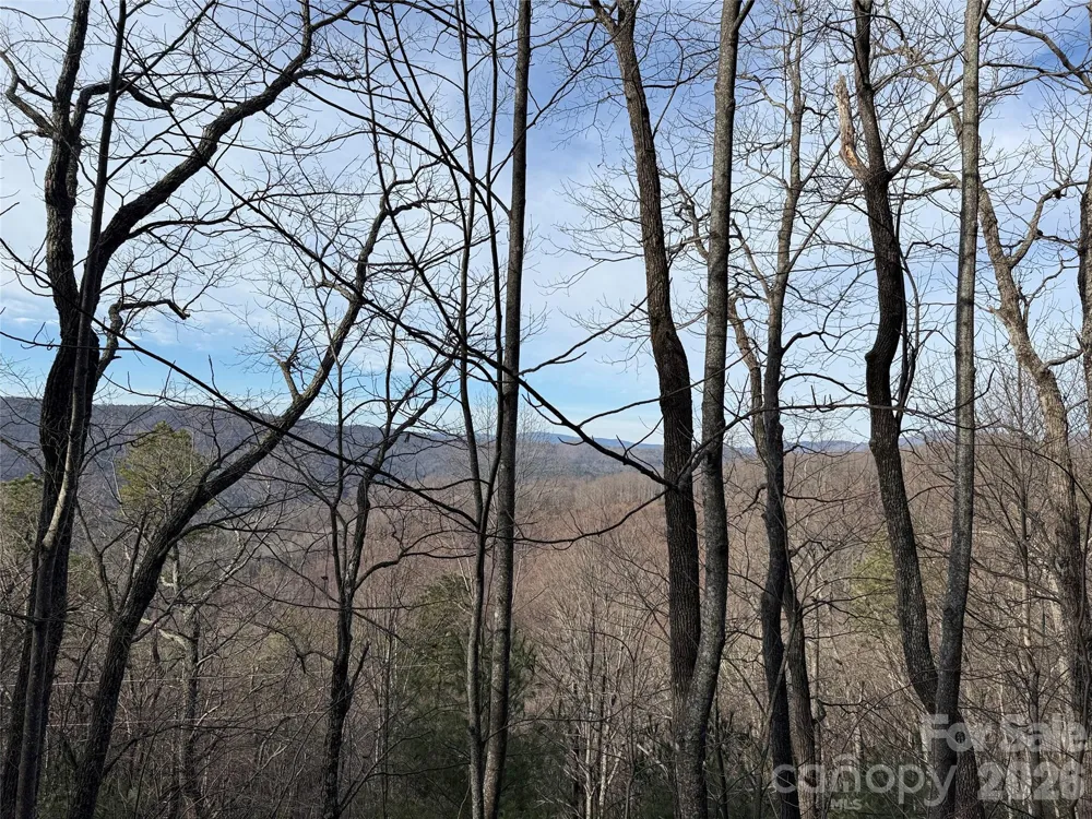 TBD Maple Valley Lane #207 & 220 Purlear, NC 28665