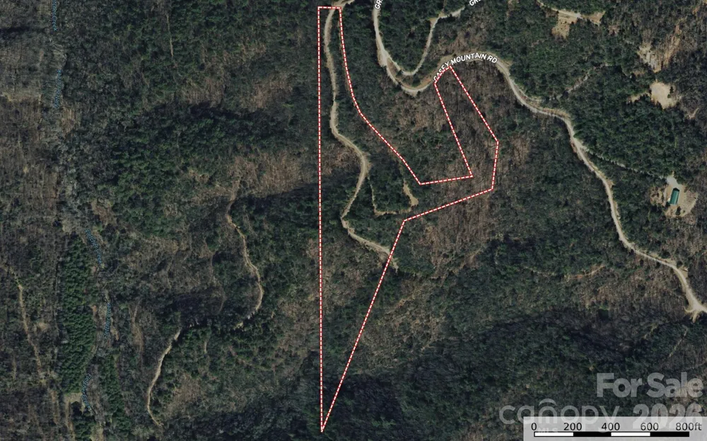 TBD Maple Valley Lane #207 & 220 Purlear, NC 28665