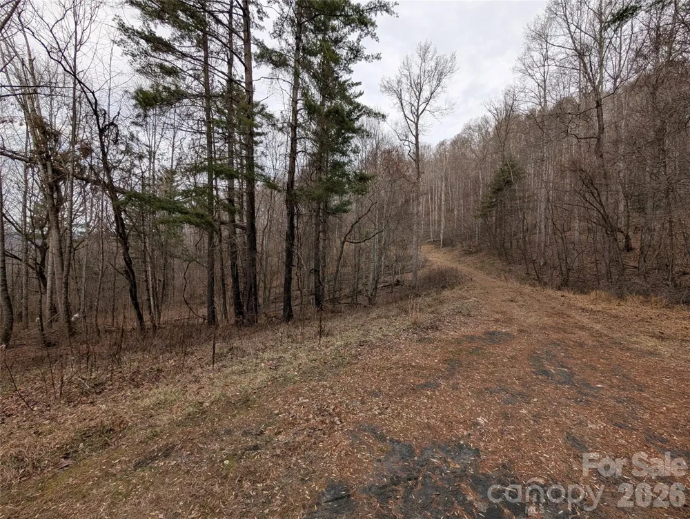 000 Wild Turkey Pen Road Bakersville, NC 28705