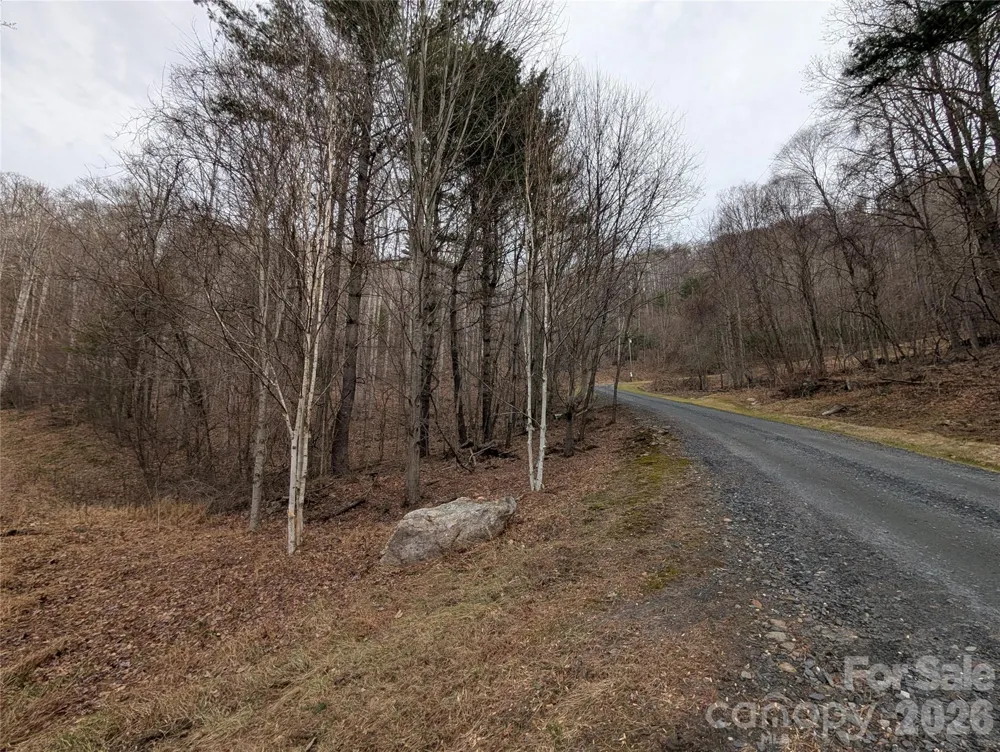 000 Wild Turkey Pen Road Bakersville, NC 28705