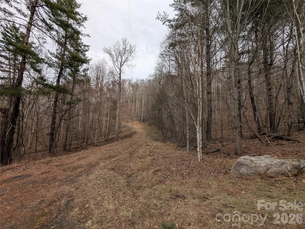 000 Wild Turkey Pen Road Bakersville, NC 28705