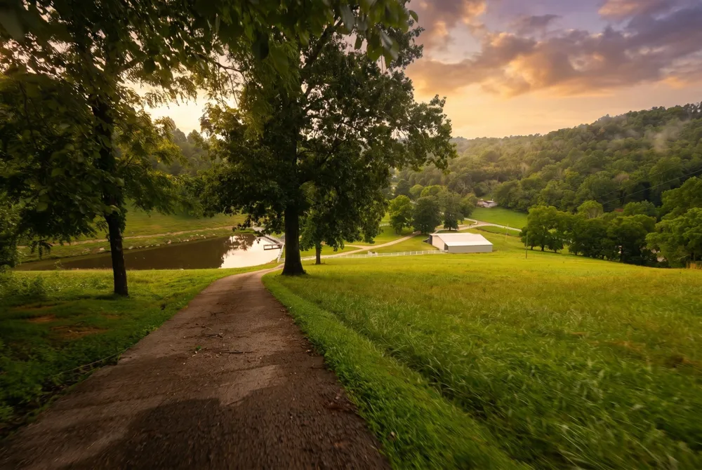 1425 Bartlett Hollow Rd Petersburg, TN 37144