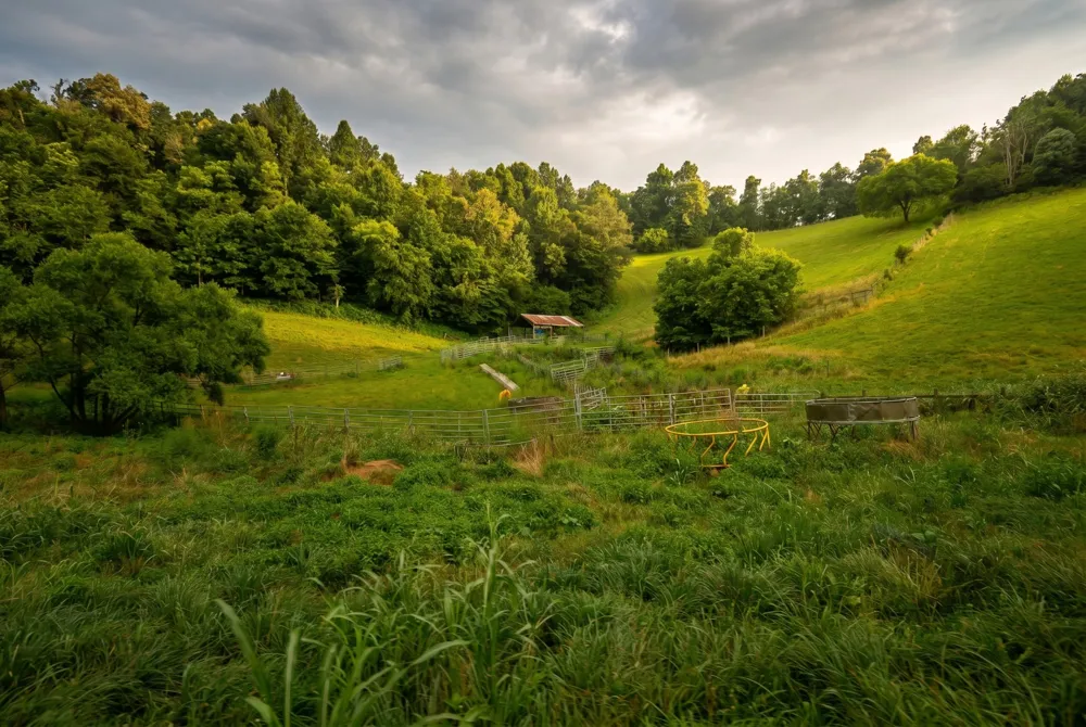 1425 Bartlett Hollow Rd Petersburg, TN 37144
