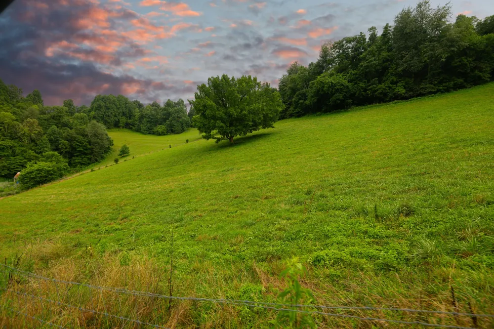 1425 Bartlett Hollow Rd Petersburg, TN 37144