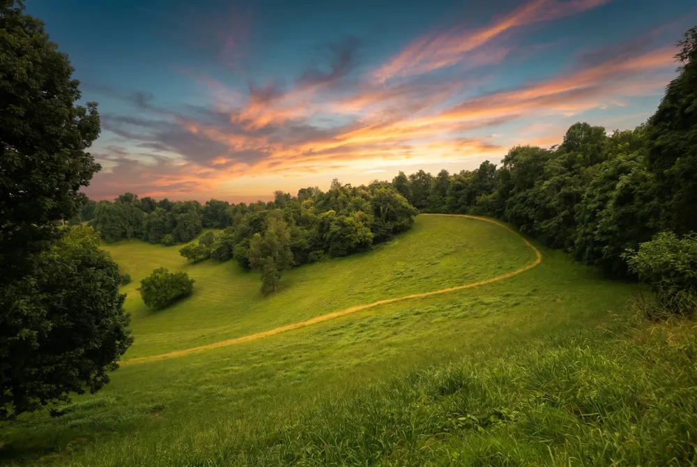 1425 Bartlett Hollow Rd Petersburg, TN 37144