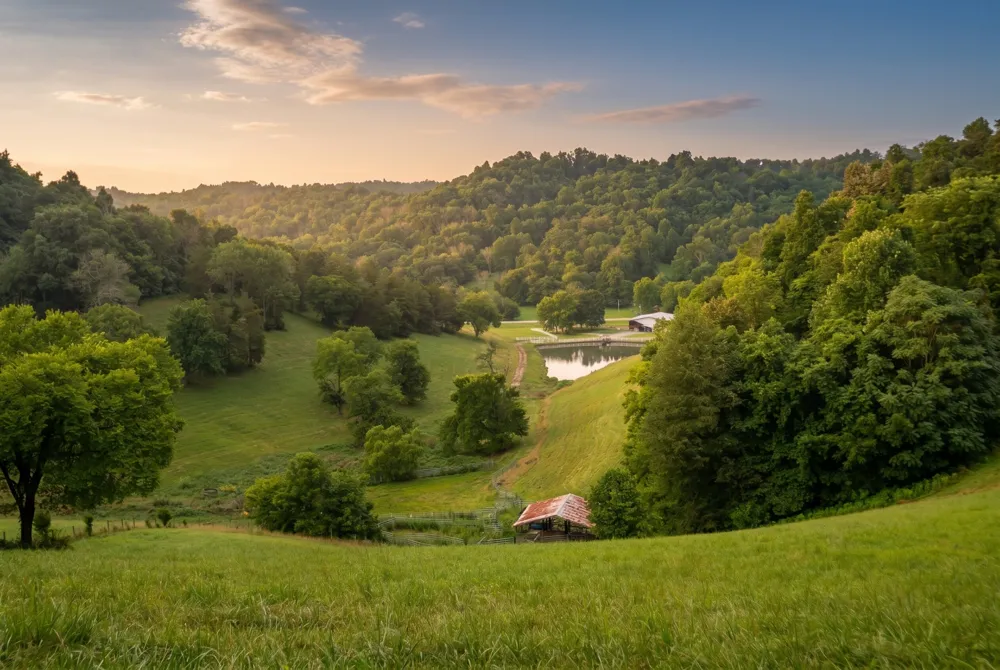 1425 Bartlett Hollow Rd Petersburg, TN 37144
