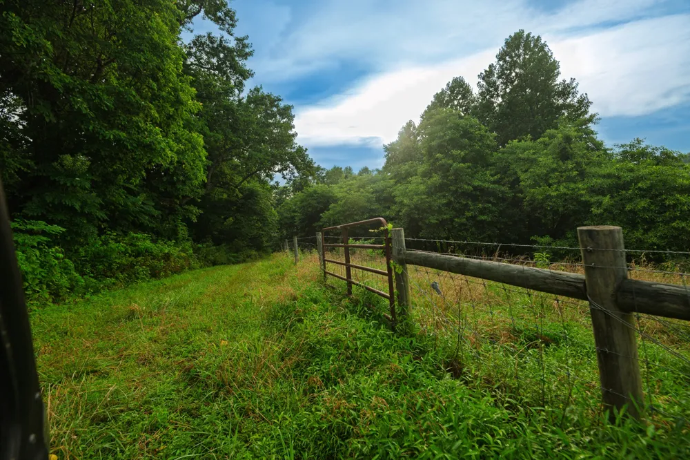 1425 Bartlett Hollow Rd Petersburg, TN 37144