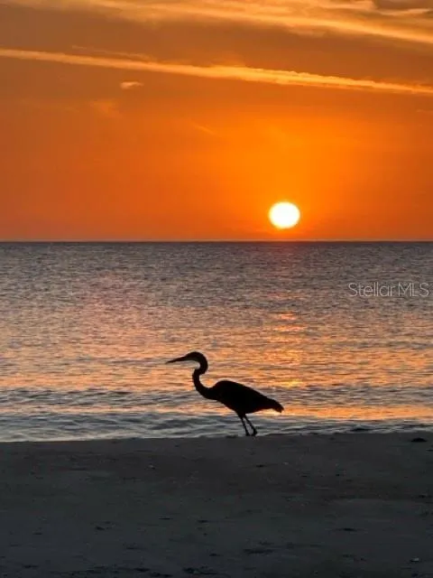 600 JUNGLE QUEEN WAY Longboat Key, FL 34228