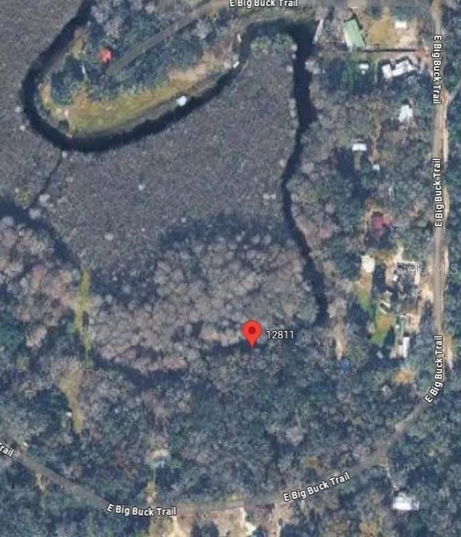12811 E BIG BUCK TRAIL Floral City, FL 34436