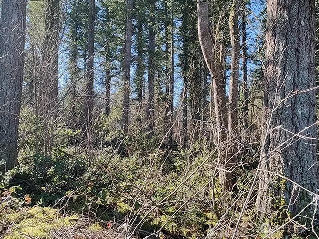 355 xx 312th ST Way SE Enumclaw, WA 98022