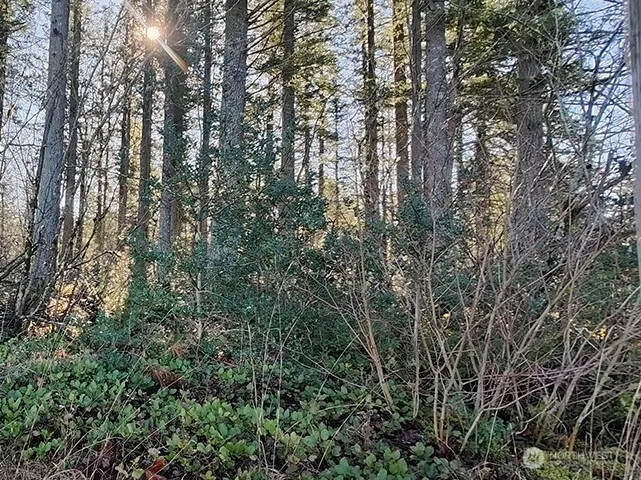 355 xx 312th ST Way SE Enumclaw, WA 98022