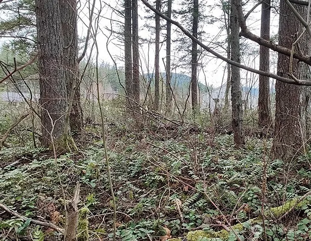 355 xx 312th ST Way SE Enumclaw, WA 98022
