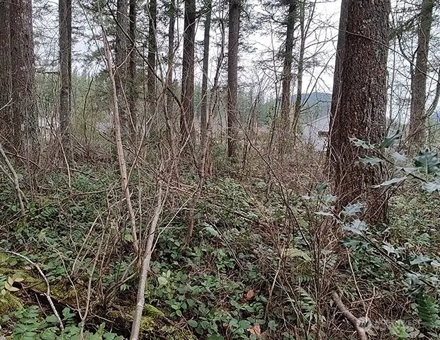 355 xx 312th ST Way SE Enumclaw, WA 98022