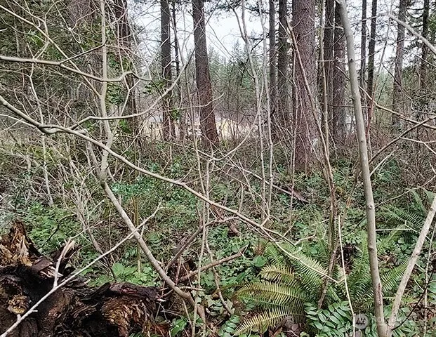 355 xx 312th ST Way SE Enumclaw, WA 98022