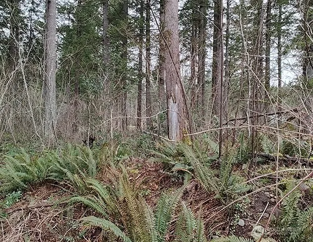355 xx 312th ST Way SE Enumclaw, WA 98022