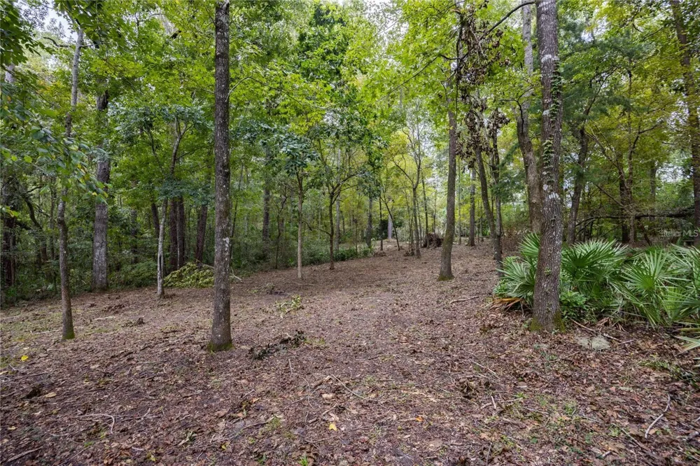 3960 NW 30TH PLACE Gainesville, FL 32606