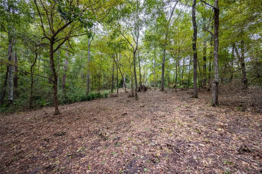 3960 NW 30TH PLACE Gainesville, FL 32606