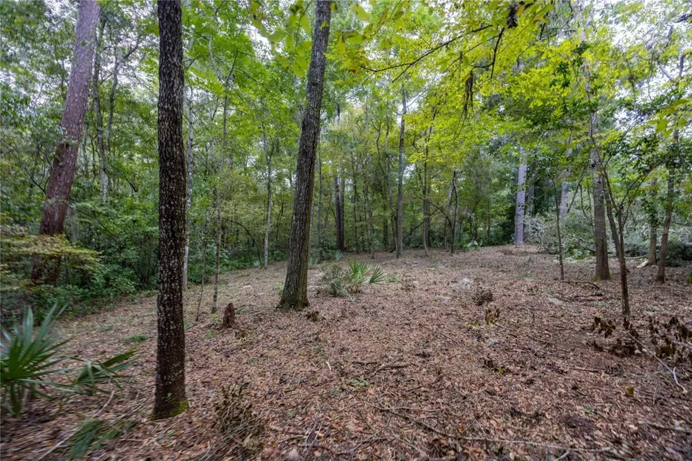 3960 NW 30TH PLACE Gainesville, FL 32606