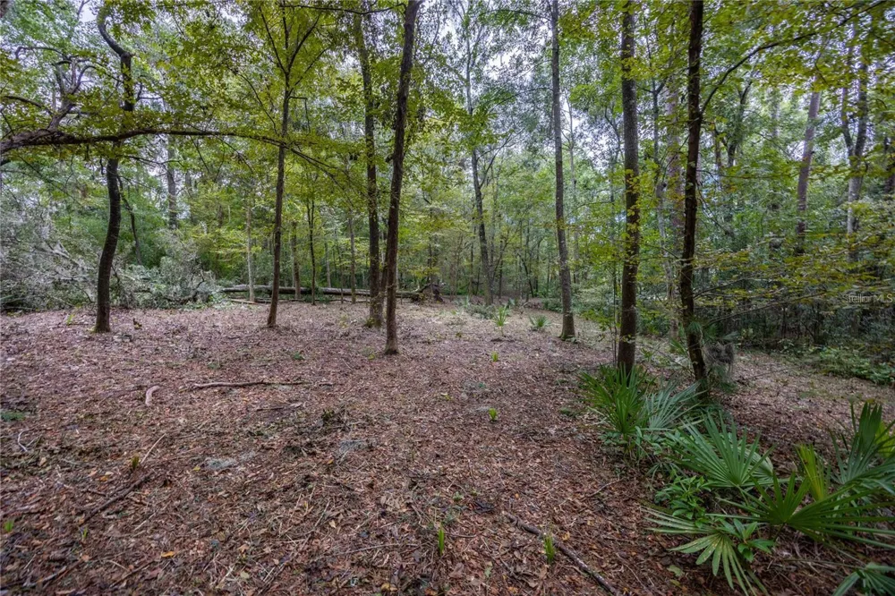 3960 NW 30TH PLACE Gainesville, FL 32606